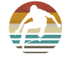 Skateboarding skateboarder skater skating retro