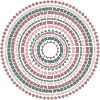 Mandala 3
