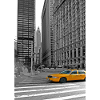 NYC Yellow Cabs Trinity Place