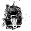 black dog bite structure