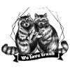 Raccoon - We love trash
