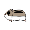 Hamster mignon