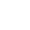Logo PATENBRIGADE (blanc)