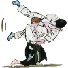aikido - aikido - budo - asikido