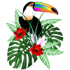 Bird toucan