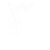 violoncelle