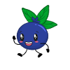 Bilberry blueberry