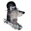 Gentleman Dog Miniature Pinscher