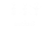 Vin