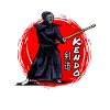 Kendo Aïkido Martial Arts Combattants