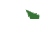 GRISWOLD FAMILY CHRISTMAS