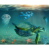 Turtle Sea Gift Idea