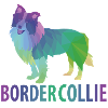 Border Collie gift