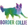 Border Collie gift