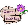 Mauerblümchen