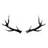 Hannibal