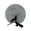 loup gris lune