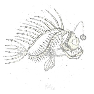 "Pezqueleto"