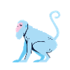 Monkey
