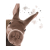 Curious Aardvark