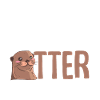 Otter Animal Love