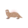 otter