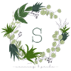 MAGIC | House S | cunning & pride