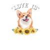 Corgi