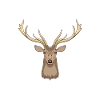 Hirsch Waldtier Hirschgeweih Jäger