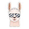 Cool llama