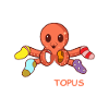 Sock-TOPUS animal lover gift