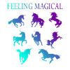 Feeling magical