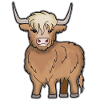 Scottish Highland Highland Cattle cow