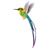 Hummingbird