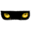 Cat eyes