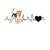 Foxterrier Herzschlag Drahthaar-Foxterrier