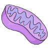Biological Cell Chemistry Bacteria