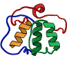 Protein structure