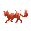 Fox Foxes