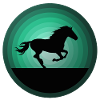 Chevaux équitation sport équestre
