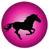 Les chevaux