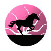 Chevaux équitation sport équestre