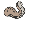 Elephant trunk