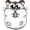 Pollux der Hamster