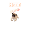 need more pugs