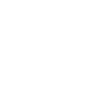 Seagull geometric