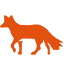 Renard Fox Fox