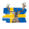 Sweden moose