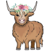 Scottish Highland Highland Cattle cow