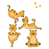 Yoga cat